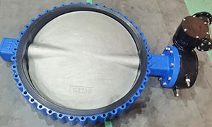 Big Size Full Lug Butterfly Valves: Elevating Performance for Dubai Customers