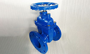 Leading manufacturer of cast iron gate valves in China