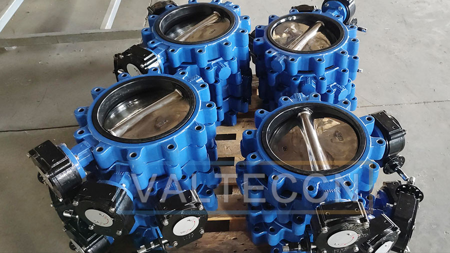 Lug Style Butterfly Valve Successfully Exported to Ecuador