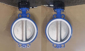 Wafer type butterfly valves exported to Kazakhstan